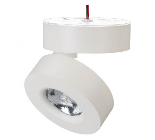 Светильник на штанге Arlight 025439(1) MONA