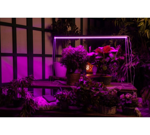 Светильник для растений Uniel UL-00008921 ULI-P21