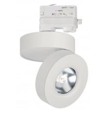 Светильник на штанге Arlight 025447(2) MONA