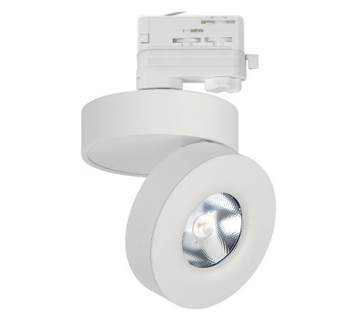 Светильник на штанге Arlight 025447(2) MONA