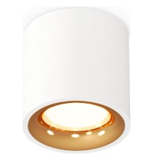 Накладной светильник Ambrella Light XS7531024 XS