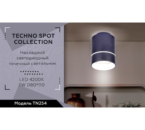 Накладной светильник Ambrella Light TN254 TN