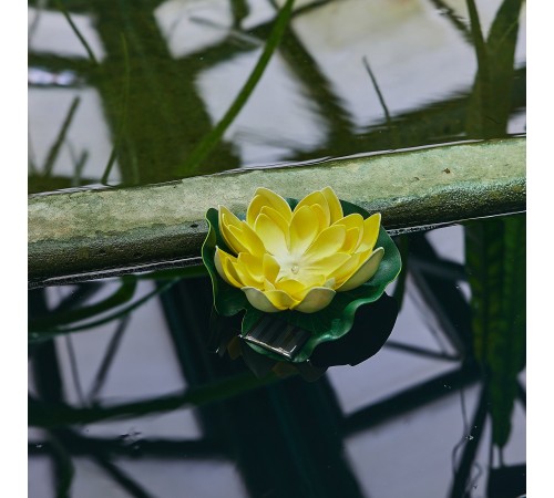 Растение Uniel UL-00011600 WATERLILY