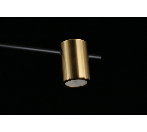 Потолочная люстра Aployt APL.633.07.08 Elwisia