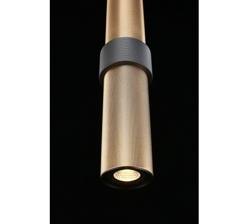 Подвесной светильник Aployt APL.614.16.01 Beasia