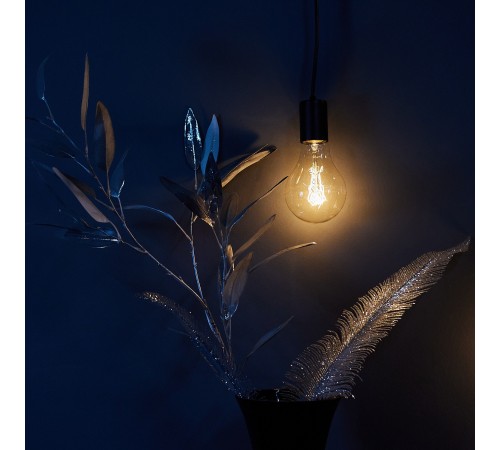 Лампа накаливания Uniel UL-00000477 IL-V