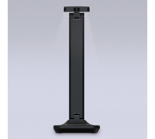 Настольная лампа офисная Ambrella Light DE491 DE