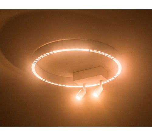 Накладной светильник Ambrella Light FL5805 FL