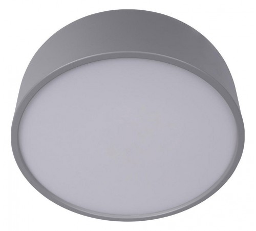 Накладной светильник Loft it 10201/350 Grey Axel