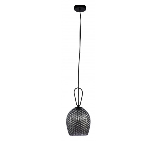 Подвесной светильник Indigo 11001/1P Black Armonia