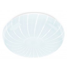 Накладной светильник Ambrella Light FZ1093 FZ