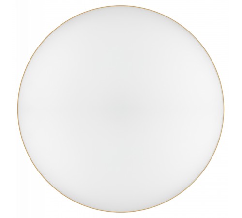 Накладной светильник Эра Relict 38 SPB-6-40 4К MG Relict