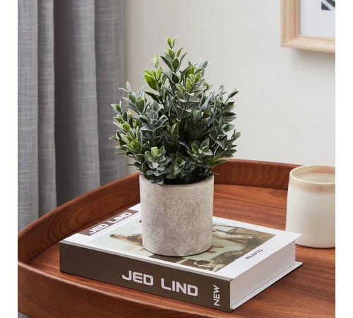 Растение в горшке (160x220) Chitose 428027