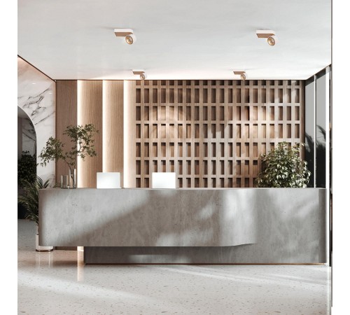 Накладной светильник Loft it 10324/A Gold White Knof