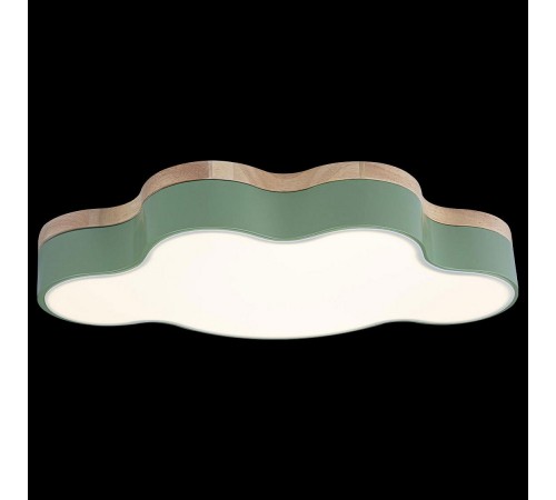 Накладной светильник Loft it 10005/30 Green Axel 4