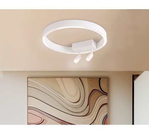 Накладной светильник Ambrella Light FL5805 FL