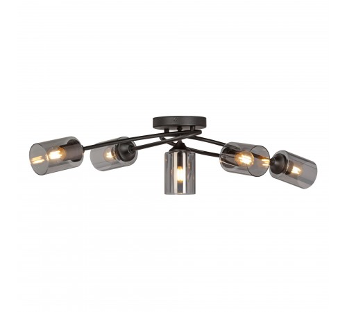 Потолочная люстра Vitaluce V2048-1/5PL V2048