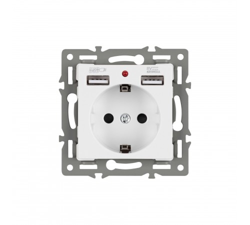 Розетка с заземлением и 2хUSB type A, без рамки Arlight 43733 SCT