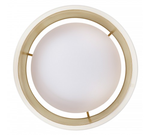 Накладной светильник MyFar MR2371-1CL Anders