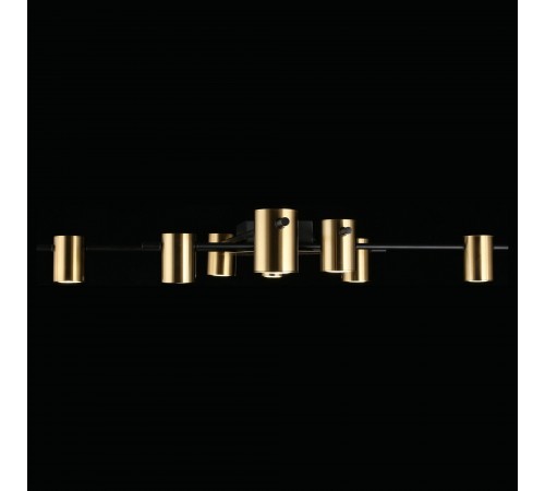 Потолочная люстра Aployt APL.633.07.08 Elwisia