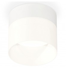 Накладной светильник Ambrella Light XS8101016 XS