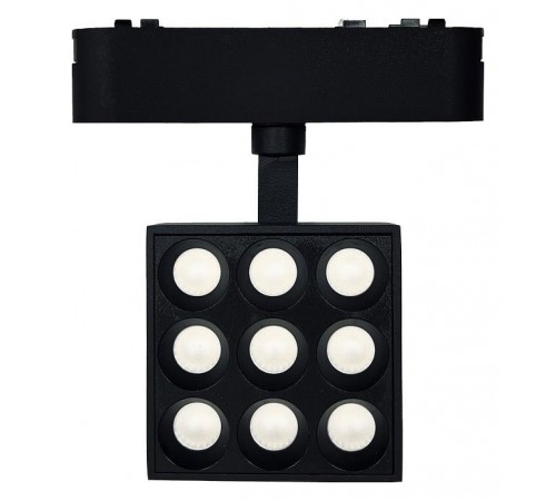 Светильник на штанге Wertmark WTH.O14.607.40.09 WTH