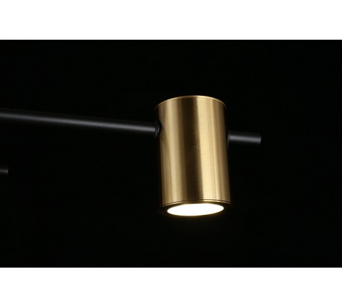 Потолочная люстра Aployt APL.633.07.08 Elwisia