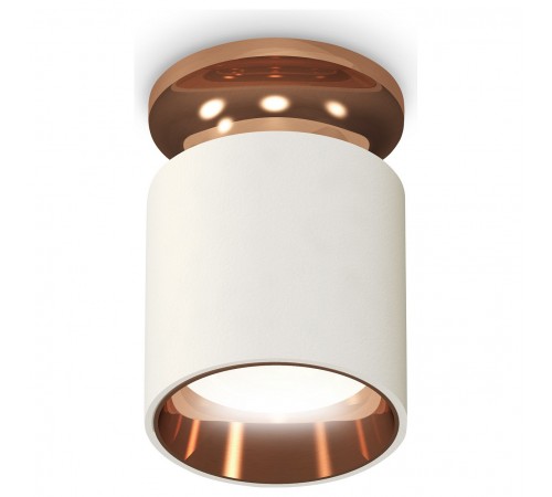 Накладной светильник Ambrella Light XS6301201 XS