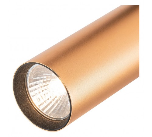 Светильник на штанге Escada 20001TRA/02 BR 20001