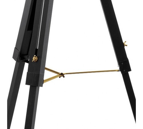 Торшер Eglo 49618 Covaleda