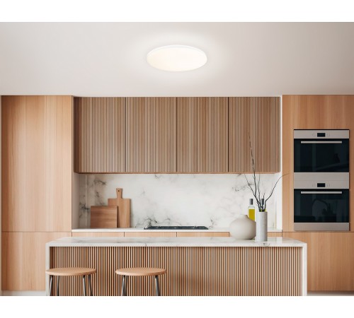 Накладной светильник Ambrella Light FZ2001 FZ