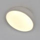 Накладной светильник Escada 20025SMA/01LED WH 20025LED