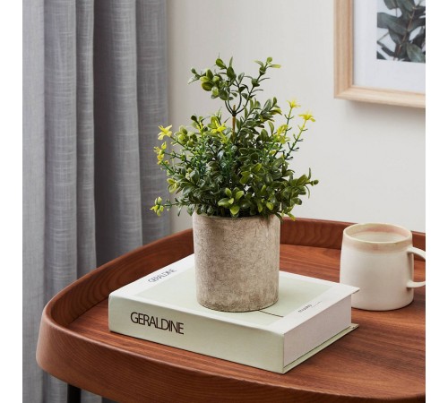 Растение в горшке (150x250) Chitose 428025