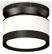 Накладной светильник Ambrella Light XS8101050 XS