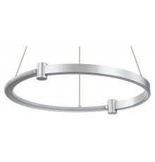 Подвесной светильник Indigo 14015/1P Silver Circolato