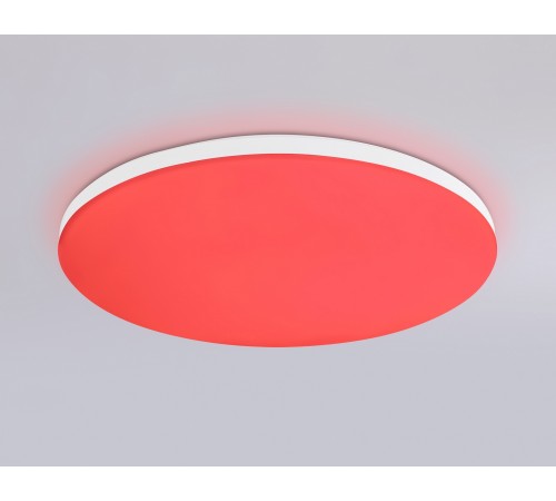 Накладной светильник Ambrella Light FZ2001 FZ