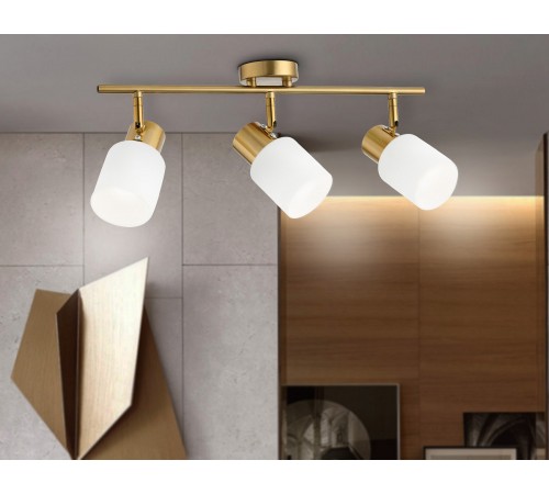 Спот Ambrella Light TR3972 TR