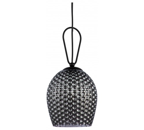 Подвесной светильник Indigo 11001/1P Black Armonia