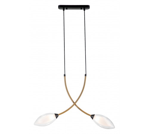 Подвесной светильник Indigo 13001/2P Black Fiore