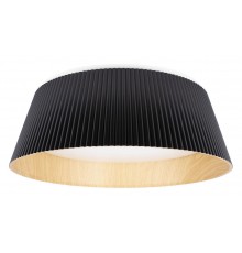 Накладной светильник Loft it 10224 Black Evans