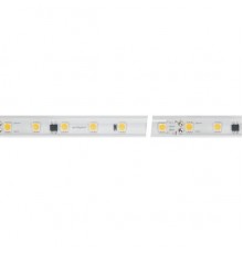 Лента светодиодная Arlight 029402(2)