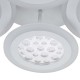 Потолочная люстра Escada 10267/4LED Drop