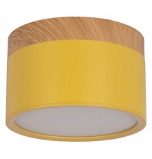 Накладной светильник Loft it 10162 Yellow Grape
