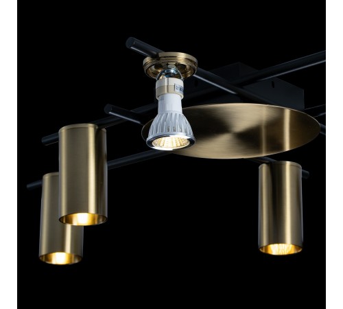 Потолочная люстра Loft it 8120C-6 Tribes