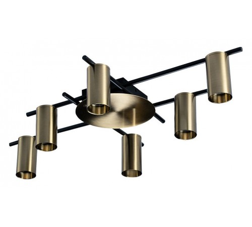 Потолочная люстра Loft it 8120C-6 Tribes