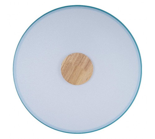 Накладной светильник Loft it 10003/24 Blue Axel 2