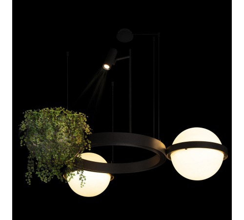 Подвесной светильник Loft it 10121/2 Jardin