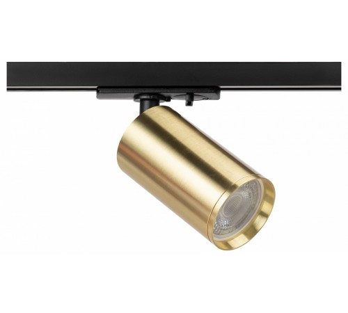 Светильник на штанге Эра TR39-GU10 BS