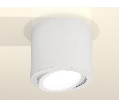 Накладной светильник Ambrella Light XS7401001 XS