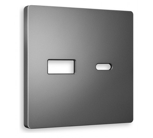 Накладка для розетки type A и C Ambrella Volt AP6610 Quant